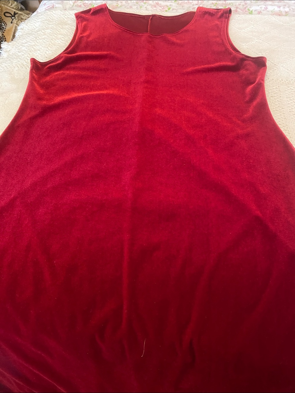 Sleeveless Maxi Velvet Dress in Burgundy